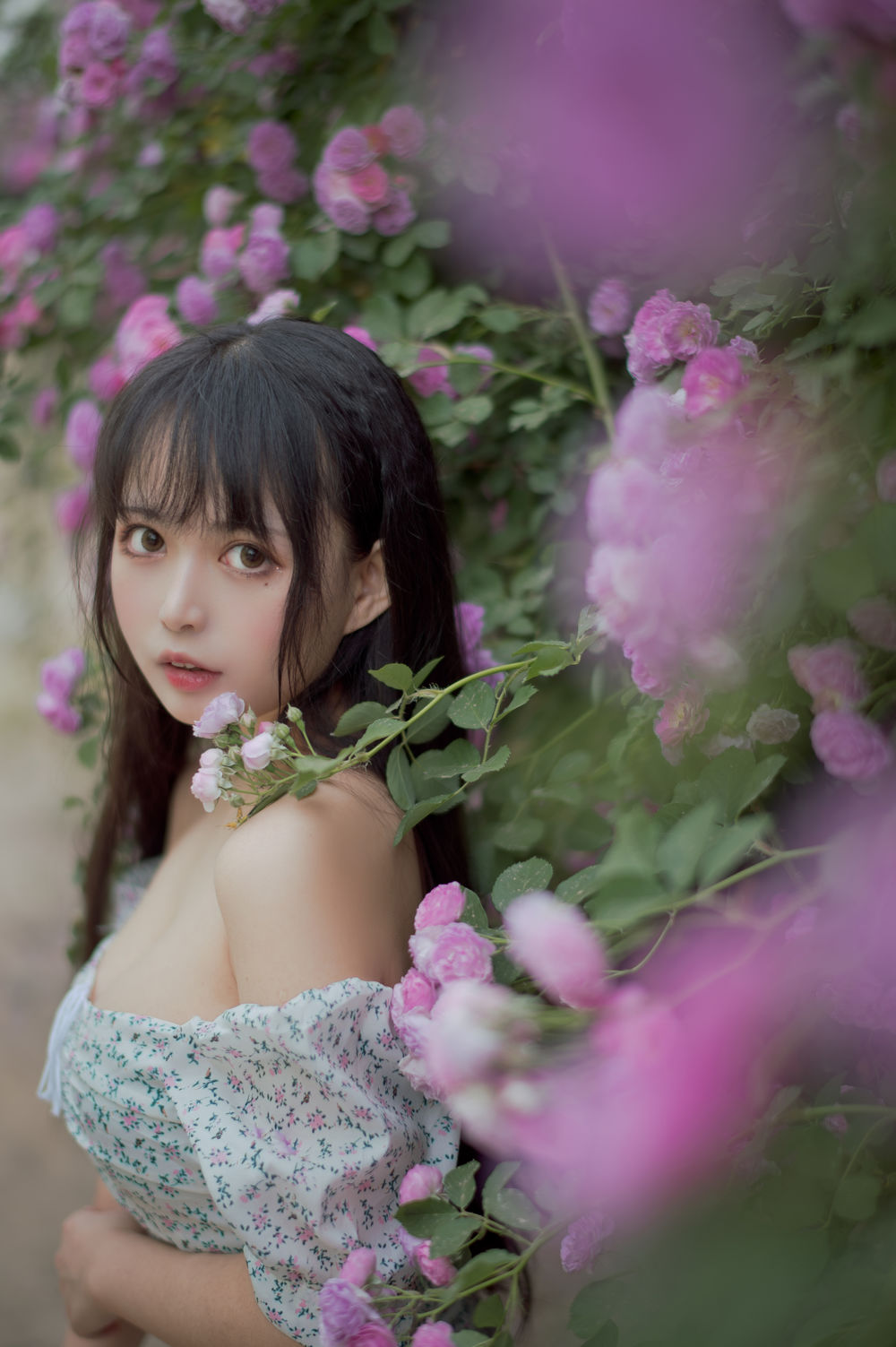 黑猫猫-No.023-蔷薇2-在线看 第3张 黑猫猫-No.023-蔷薇2-在线看 第3张