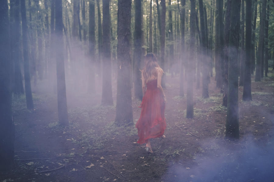 兔子Zzz不吃胡萝卜-No.059-闯入迷雾森林-在线看 第2张 兔子Zzz不吃胡萝卜-No.059-闯入迷雾森林-在线看 第2张