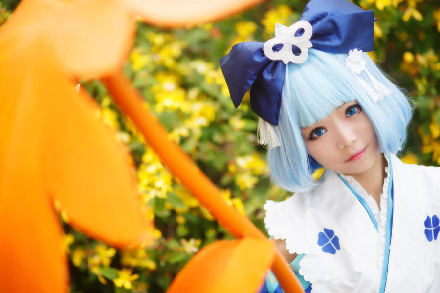 羽天Shine-No.003-阴阳师 百魅夜行萤草-在线看 第1张 羽天Shine-No.003-阴阳师 百魅夜行萤草-在线看 第1张