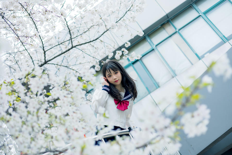 贰加六-No.018-街边的春-在线看 第3张 贰加六-No.018-街边的春-在线看 第3张