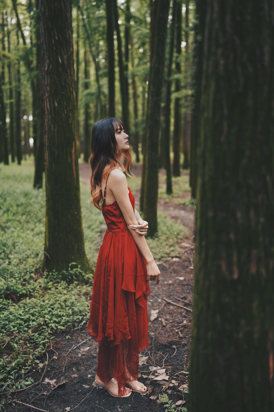 兔子Zzz不吃胡萝卜-No.059-闯入迷雾森林-在线看 第1张 兔子Zzz不吃胡萝卜-No.059-闯入迷雾森林-在线看 第1张