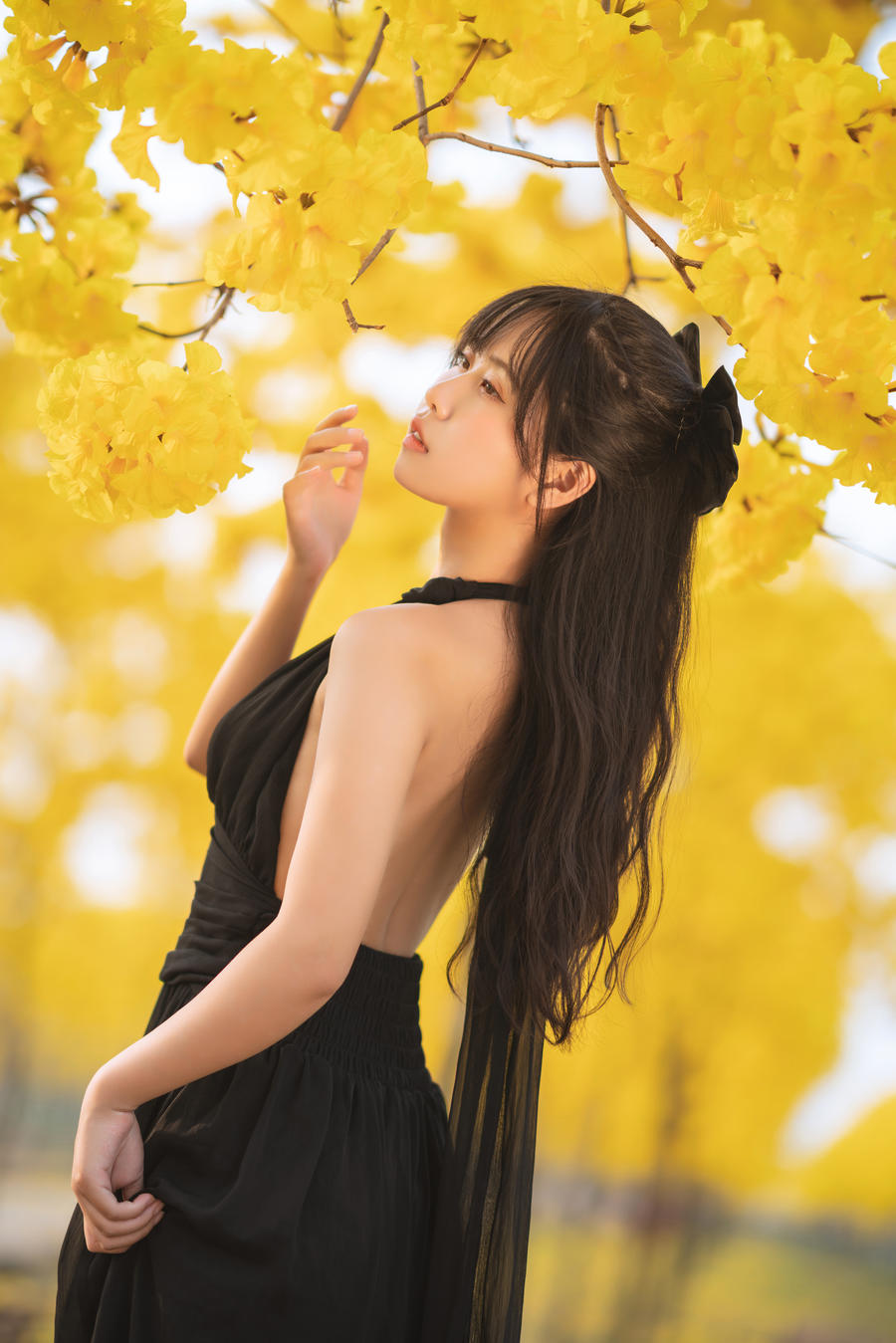 萌芽儿o0-No.025–秋有银杏 春有黄风铃-在线看 第1张 萌芽儿o0-No.025–秋有银杏 春有黄风铃-在线看 第1张