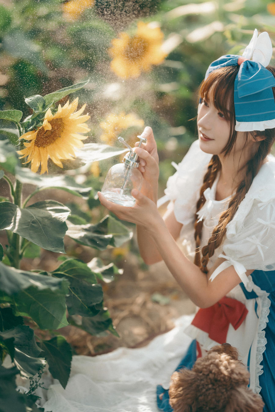 兔子Zzz不吃胡萝卜-No.092-甜甜向日葵女孩-在线看 第2张 兔子Zzz不吃胡萝卜-No.092-甜甜向日葵女孩-在线看 第2张