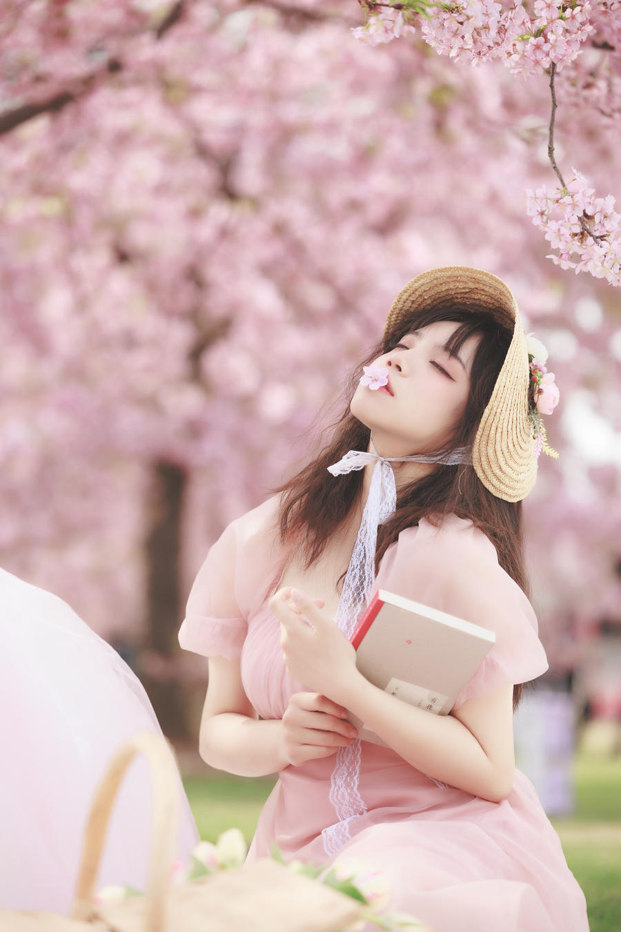 贰加六-No.014-樱之浪漫-在线看 第3张 贰加六-No.014-樱之浪漫-在线看 第3张