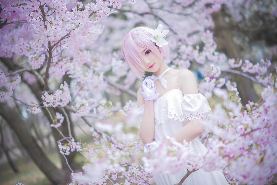 羽天Shine-No.052-FGO 玛修二周年礼服-在线看 第3张 羽天Shine-No.052-FGO 玛修二周年礼服-在线看 第3张