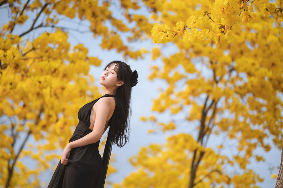 萌芽儿o0-No.025–秋有银杏 春有黄风铃-在线看 第2张 萌芽儿o0-No.025–秋有银杏 春有黄风铃-在线看 第2张