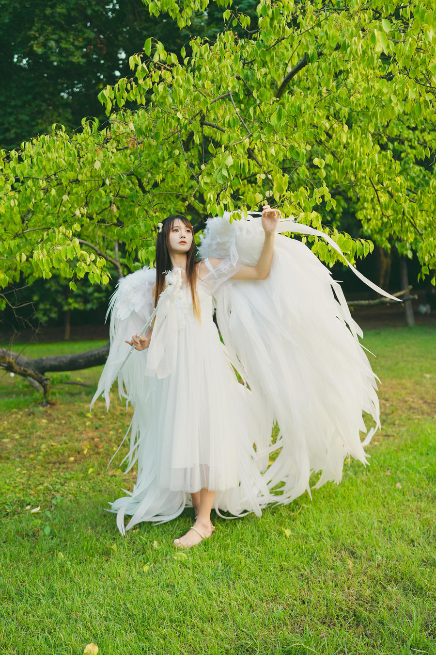 兔子Zzz不吃胡萝卜-No.122–林中天使-在线看 第3张 兔子Zzz不吃胡萝卜-No.122–林中天使-在线看 第3张