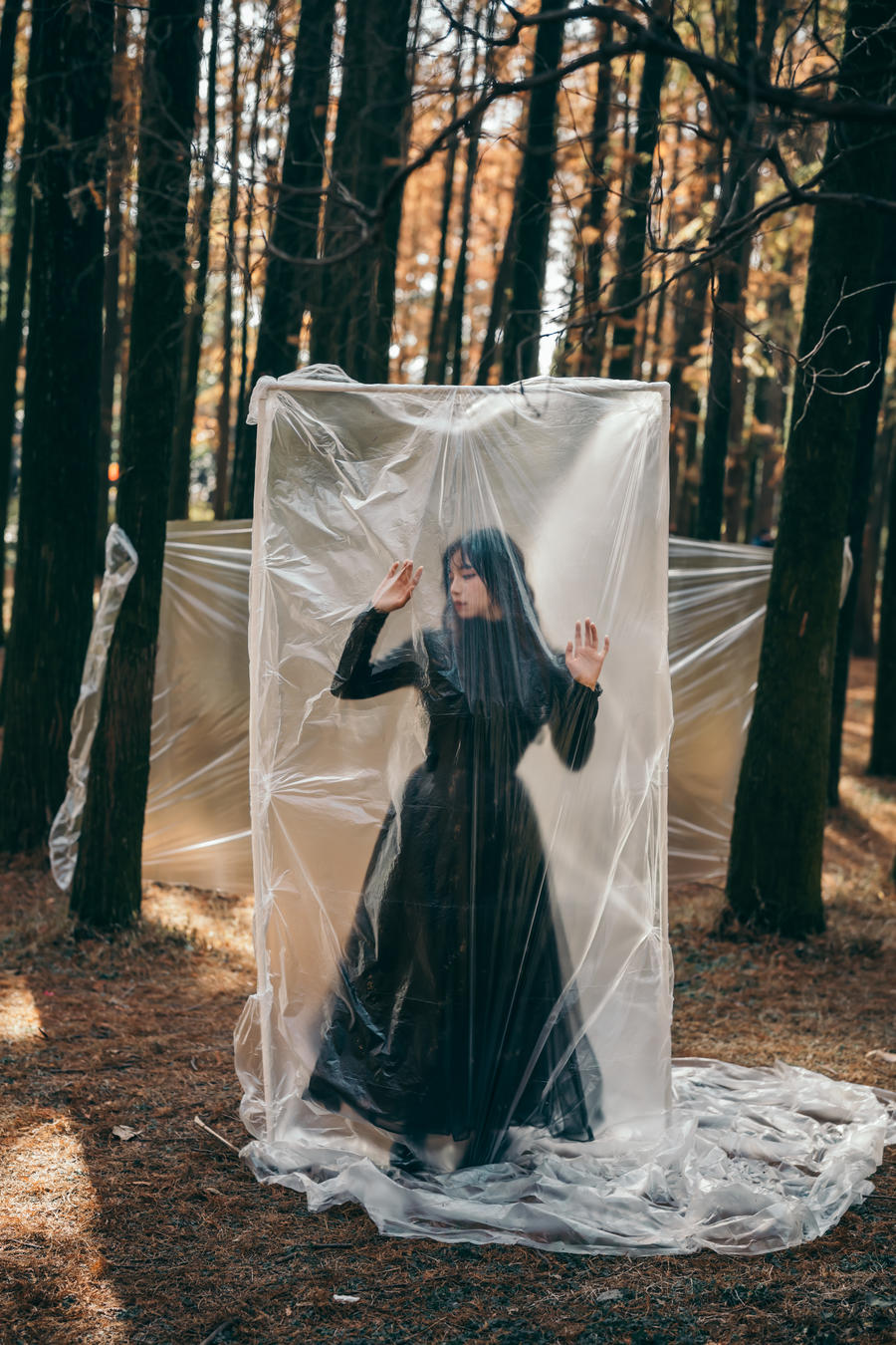 贰加六-No.013-束缚-在线看 第2张 贰加六-No.013-束缚-在线看 第2张