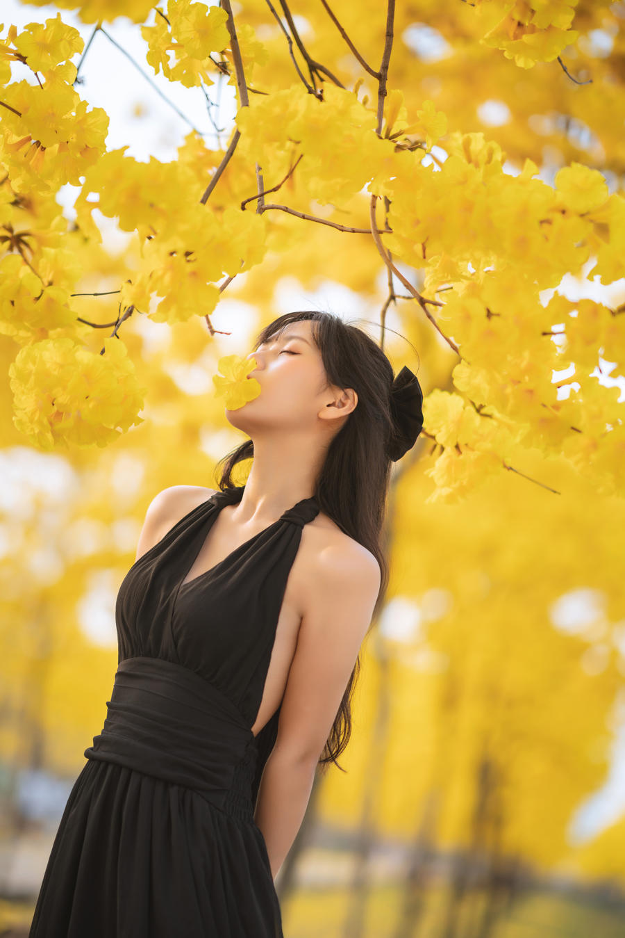 萌芽儿o0-No.025–秋有银杏 春有黄风铃-在线看 第3张 萌芽儿o0-No.025–秋有银杏 春有黄风铃-在线看 第3张