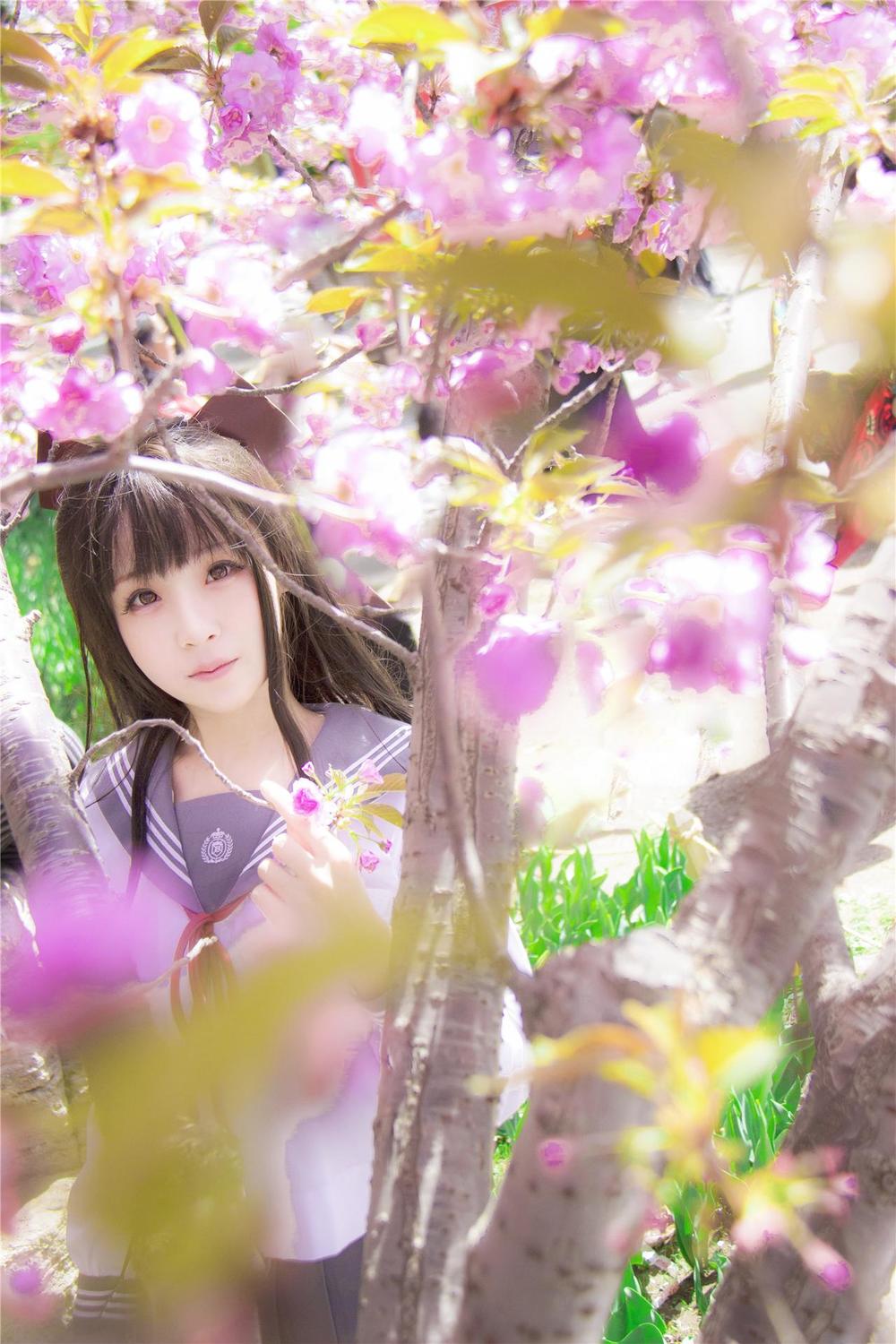 汐兔子-No.007-樱花记 毕业祭-在线看 第1张 汐兔子-No.007-樱花记 毕业祭-在线看 第1张