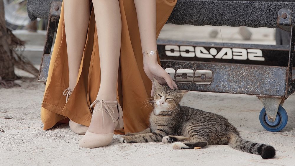 南桃Momoko-No.055-黄裤-在线看 第2张 南桃Momoko-No.055-黄裤-在线看 第2张