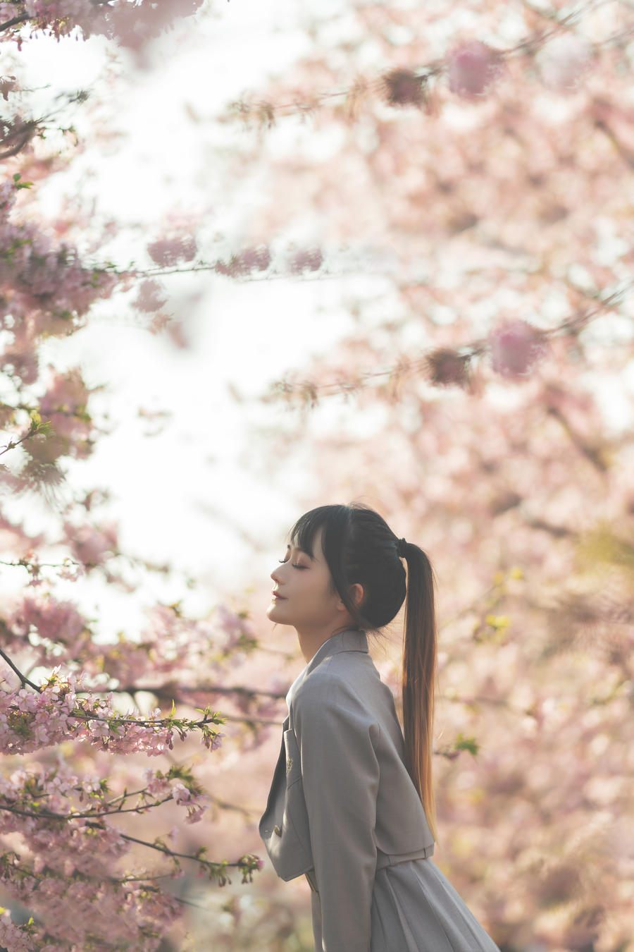 兔子Zzz不吃胡萝卜-No.033-櫻之聲-在线看 第1张 兔子Zzz不吃胡萝卜-No.033-櫻之聲-在线看 第1张