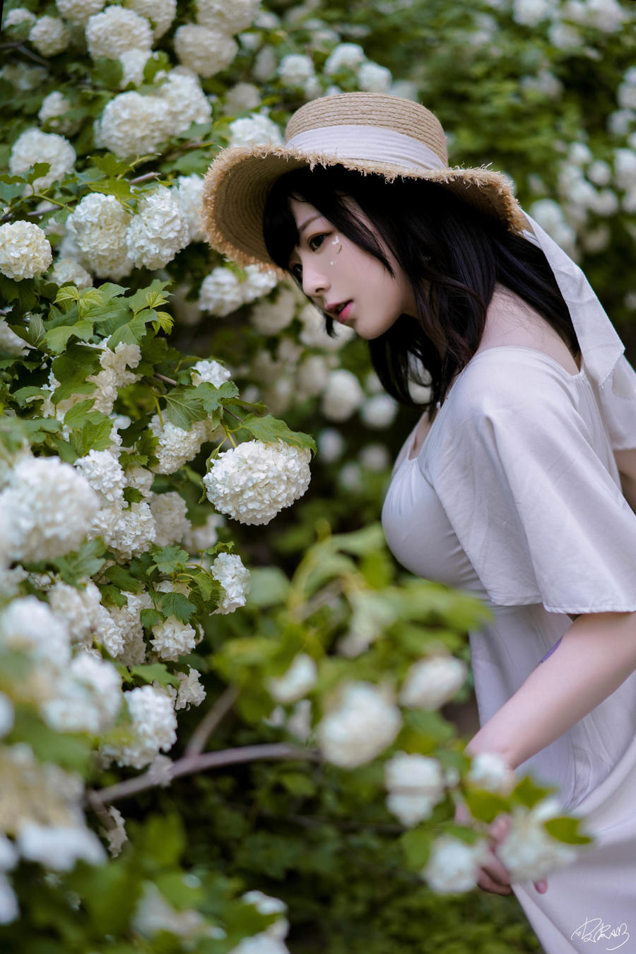 皮皮奶可可爱了啦(超皮皮皮奶)-No.067 – 绣球花-在线看 第1张 皮皮奶可可爱了啦(超皮皮皮奶)-No.067 – 绣球花-在线看 第1张