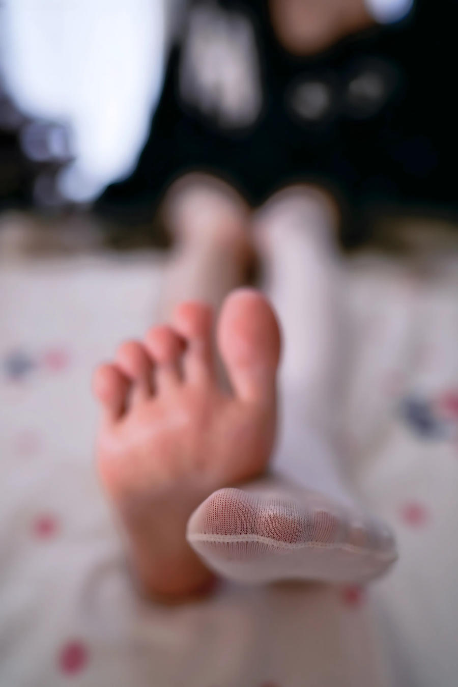 桜桃喵-No.260 – 缅因猫猫-在线看 第1张 桜桃喵-No.260 – 缅因猫猫-在线看 第1张